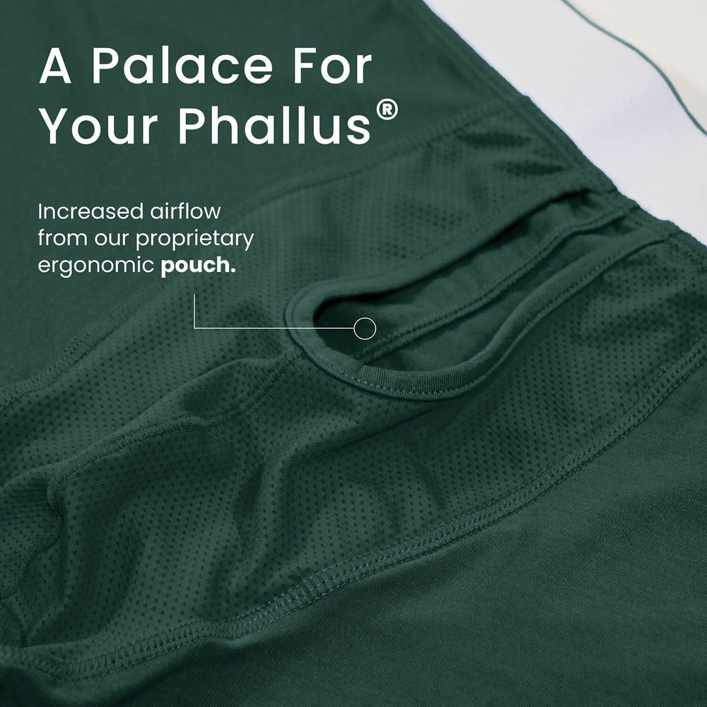 Trunks (color - Graphic Geos Collection)