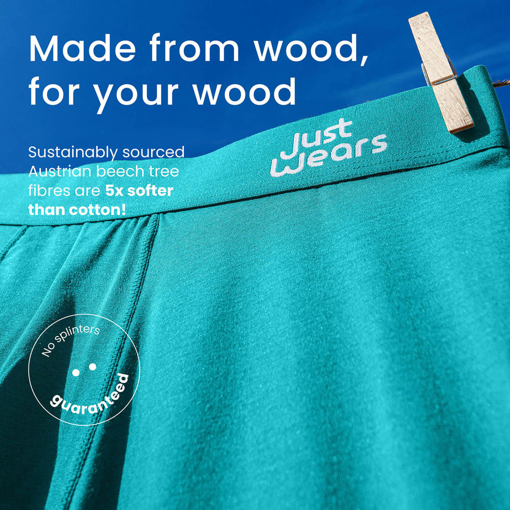 Trunks Europe (color - Rydal Water Collection)