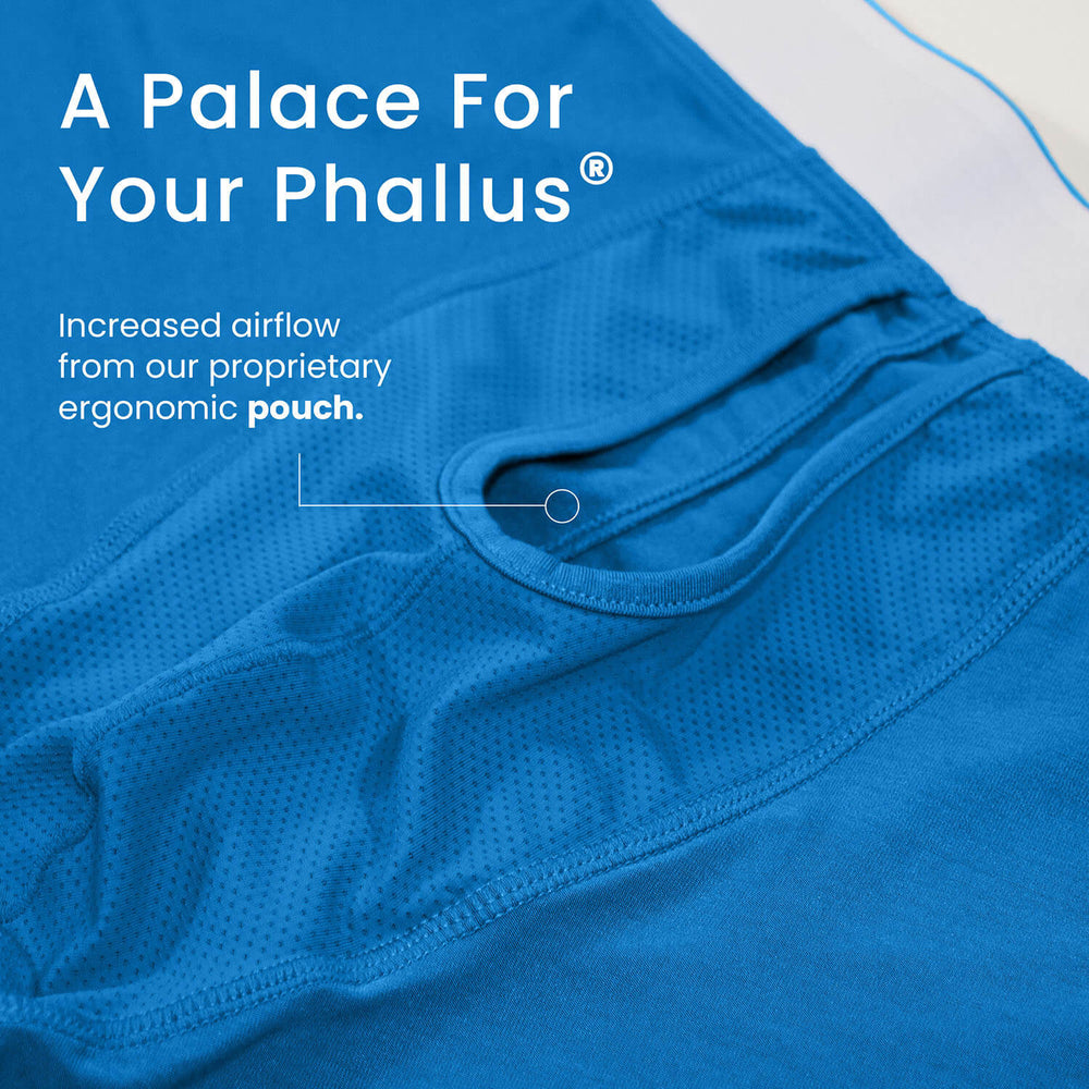 Trunks Europe (color - Rydal Water Collection)