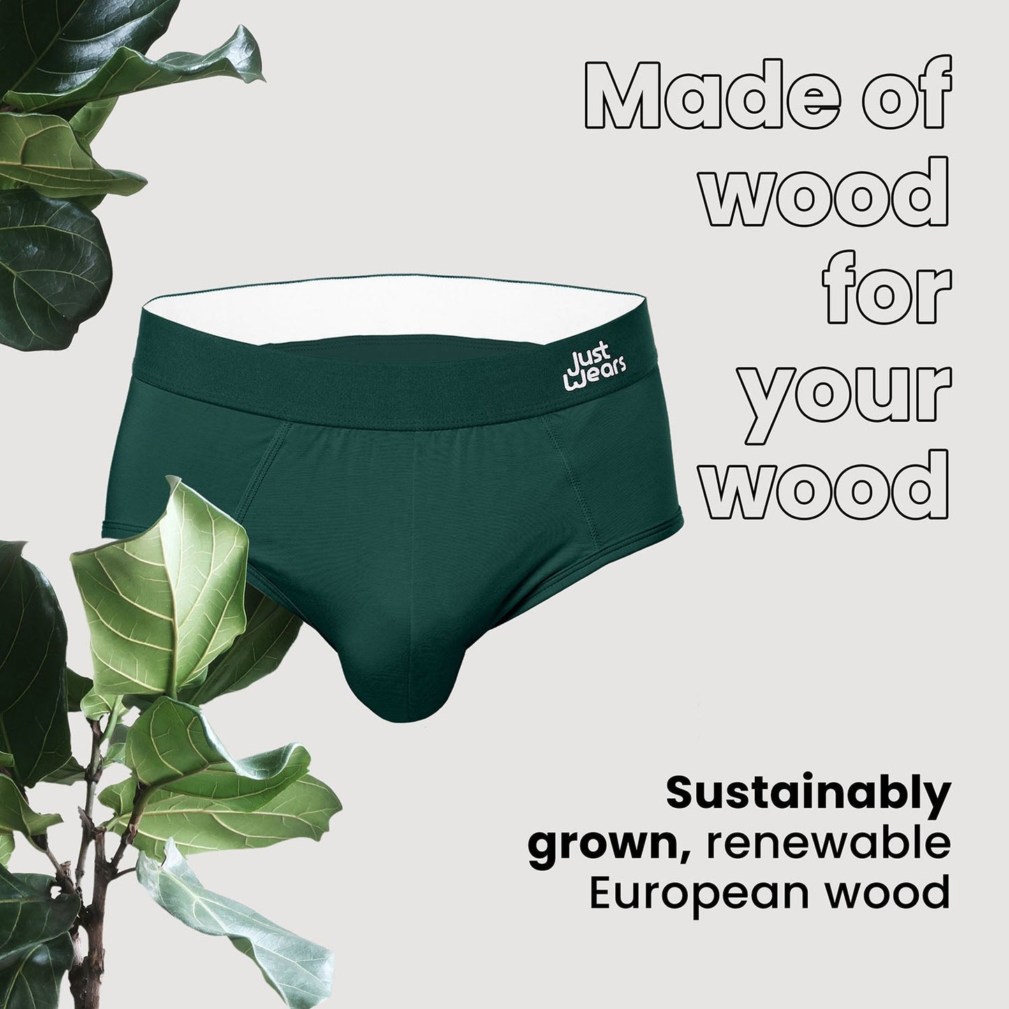 Briefs (color - Hidden Oasis Collection)