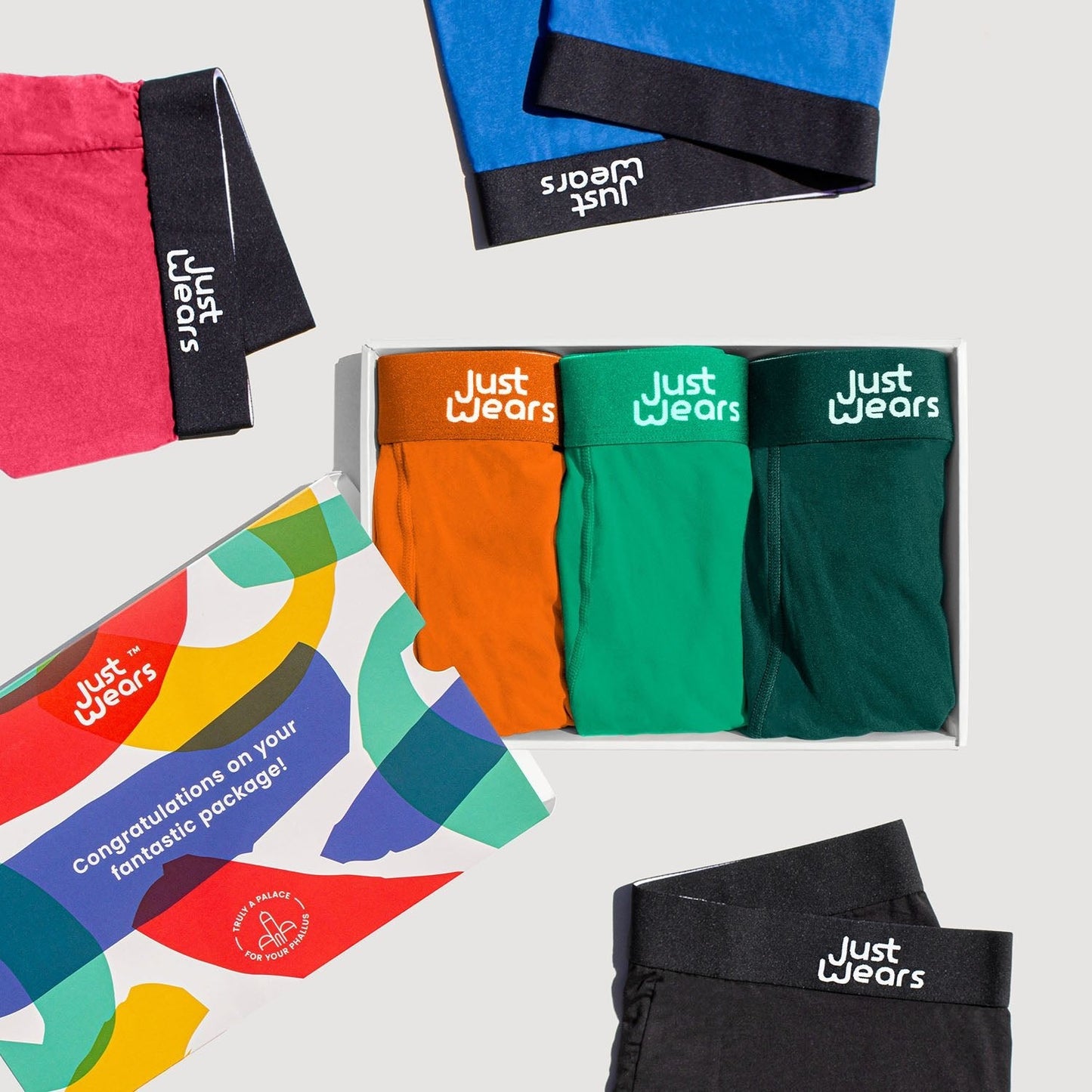 Briefs (color - Surprise Me Collection)