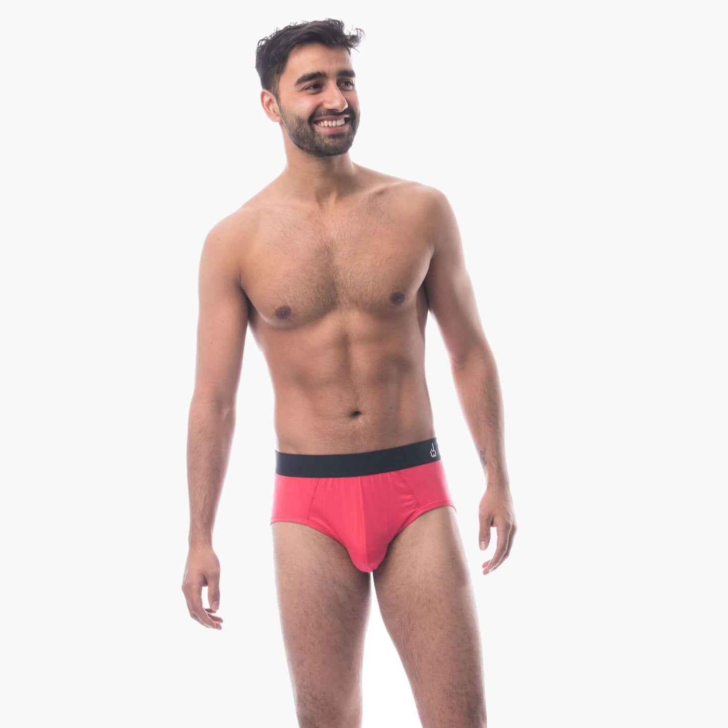 Briefs (color - Modern Collection)
