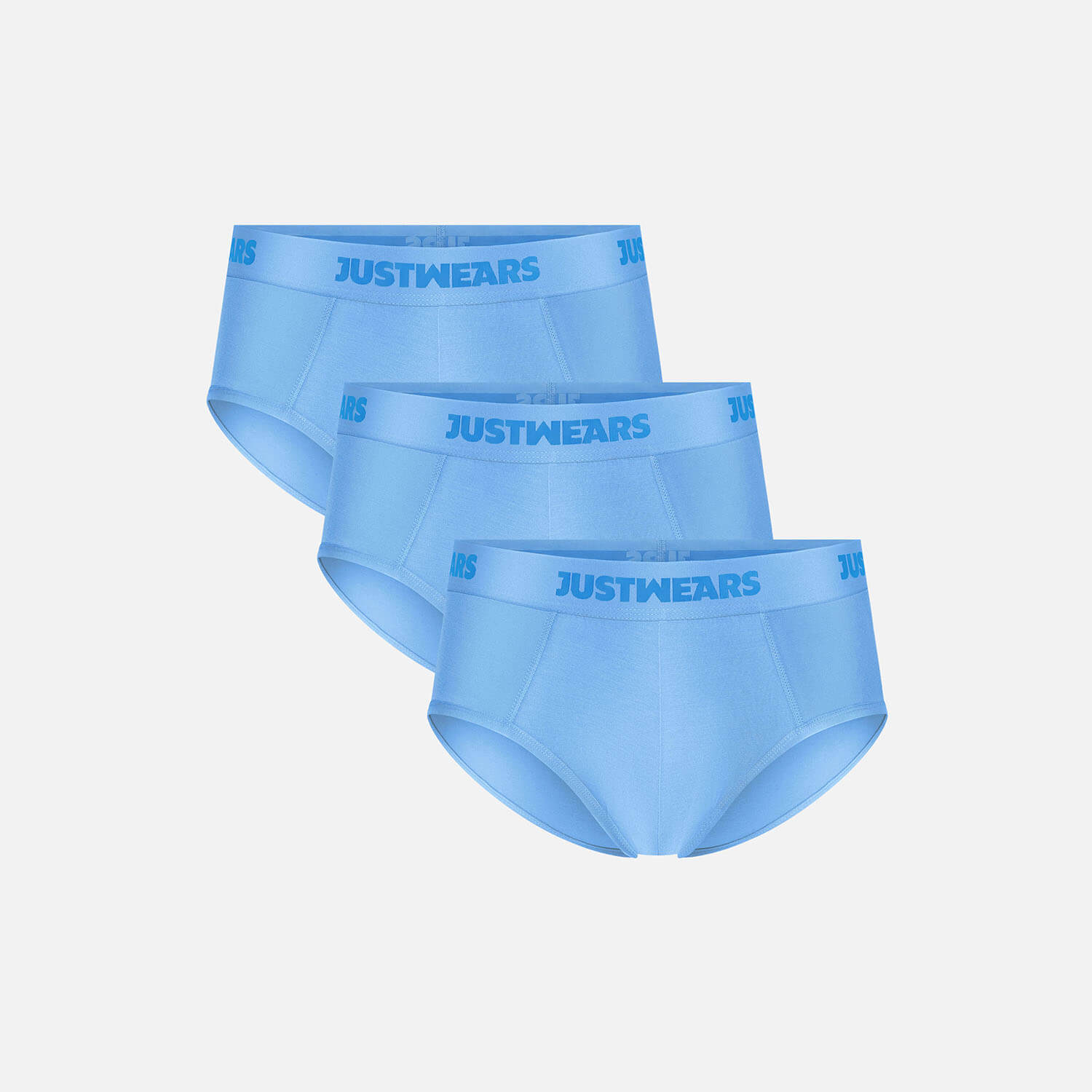 Briefs