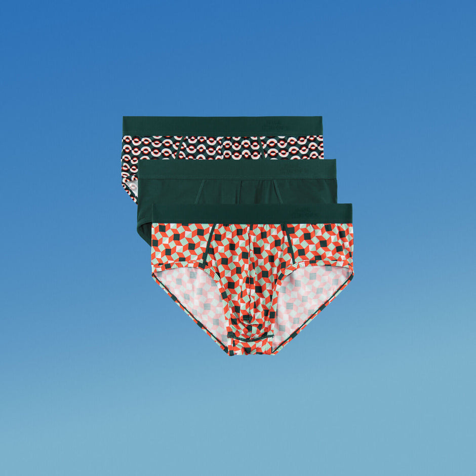Briefs