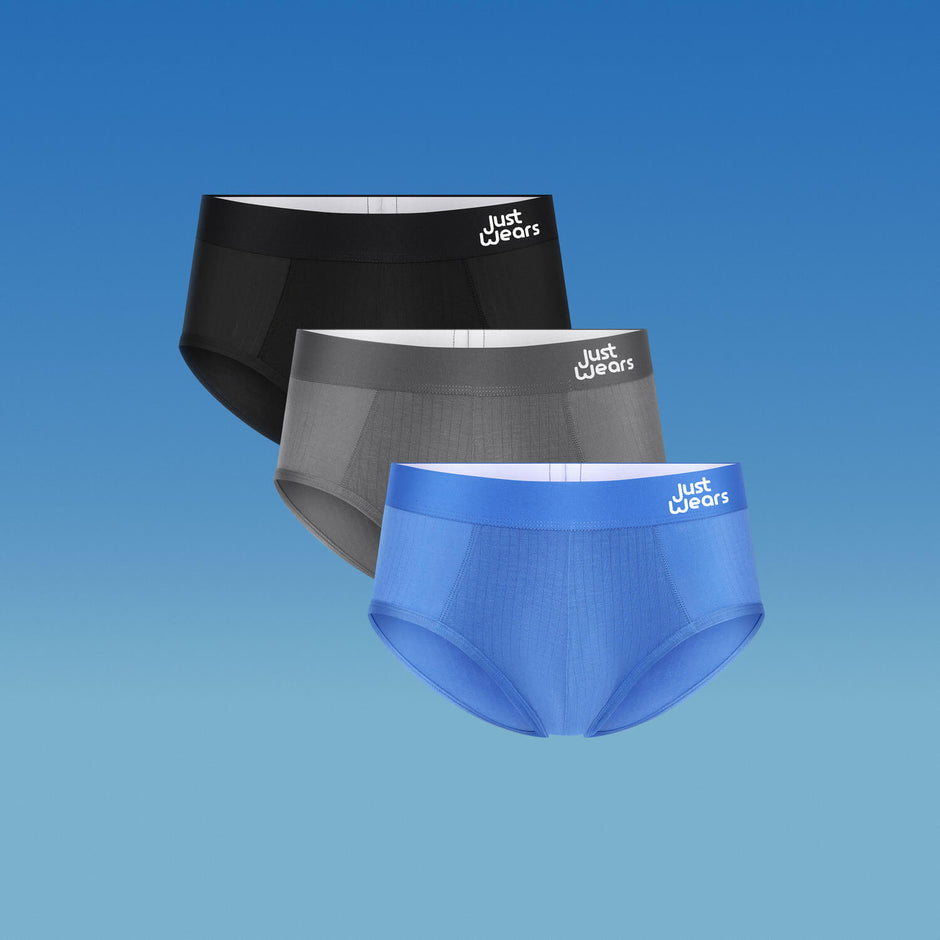 Briefs
