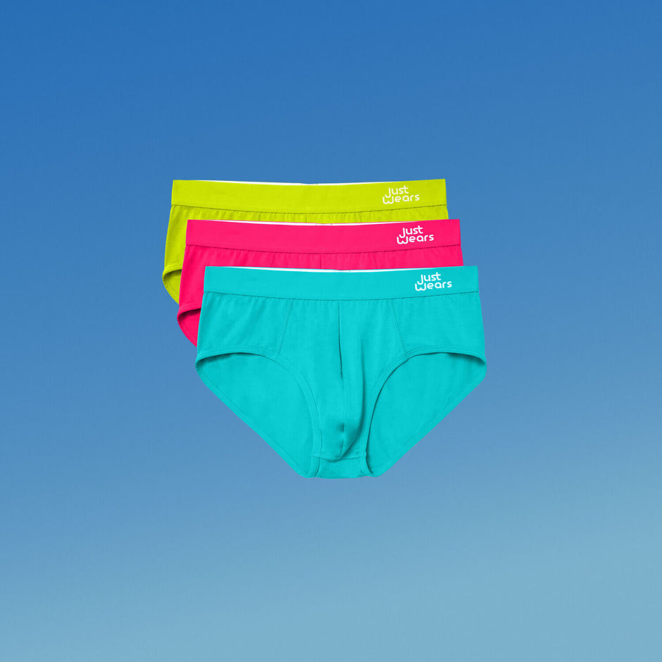 Briefs
