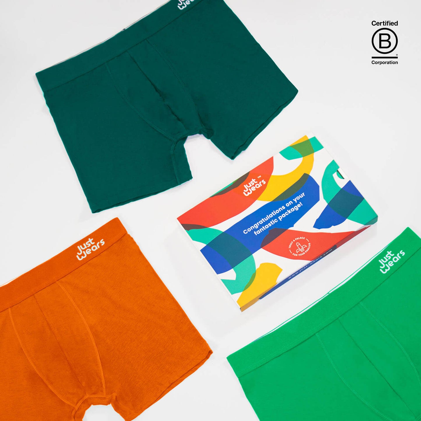 Boxer Briefs (color - Hidden Oasis Collection) 