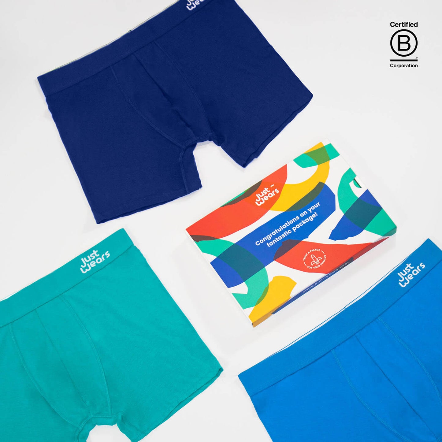 Boxer Briefs (color - Rydal Water Collection) 