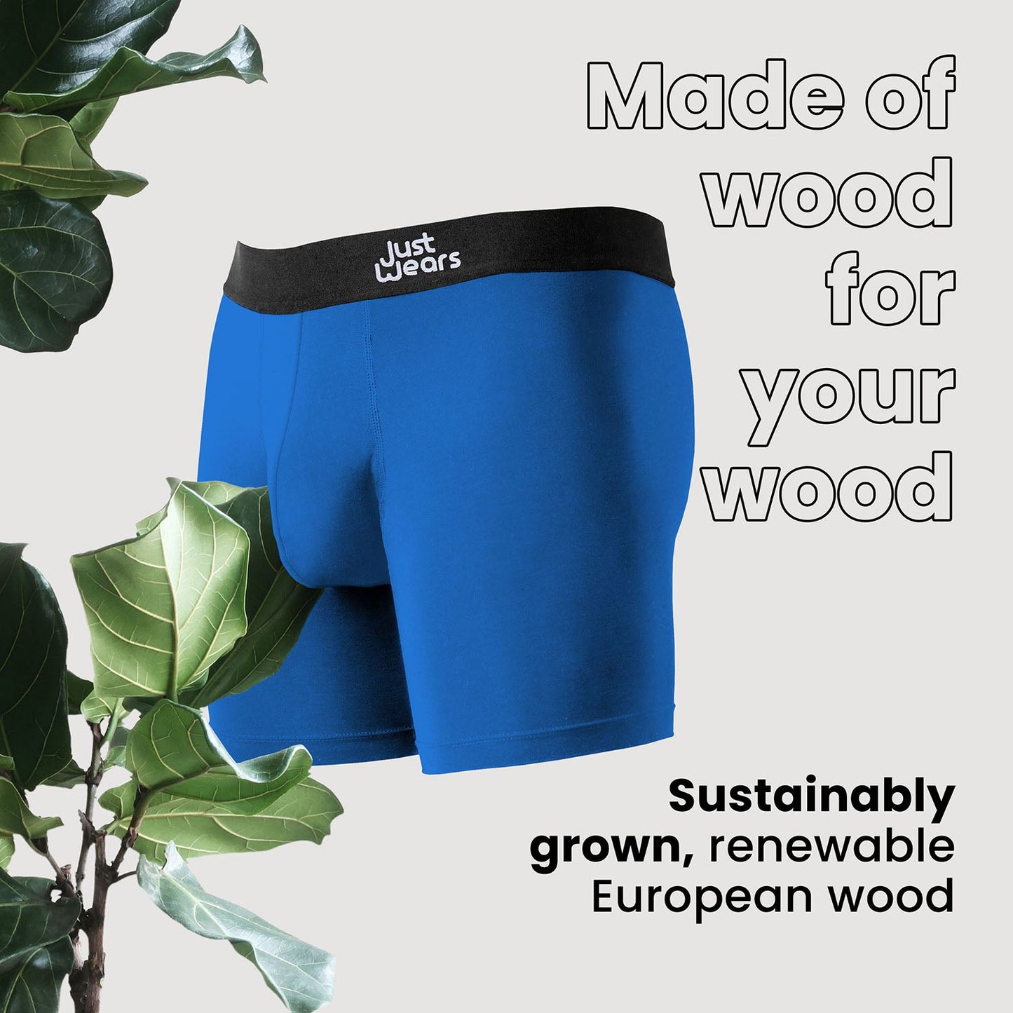 Boxer Briefs Duo Pack Europe (color - Blue & Green)