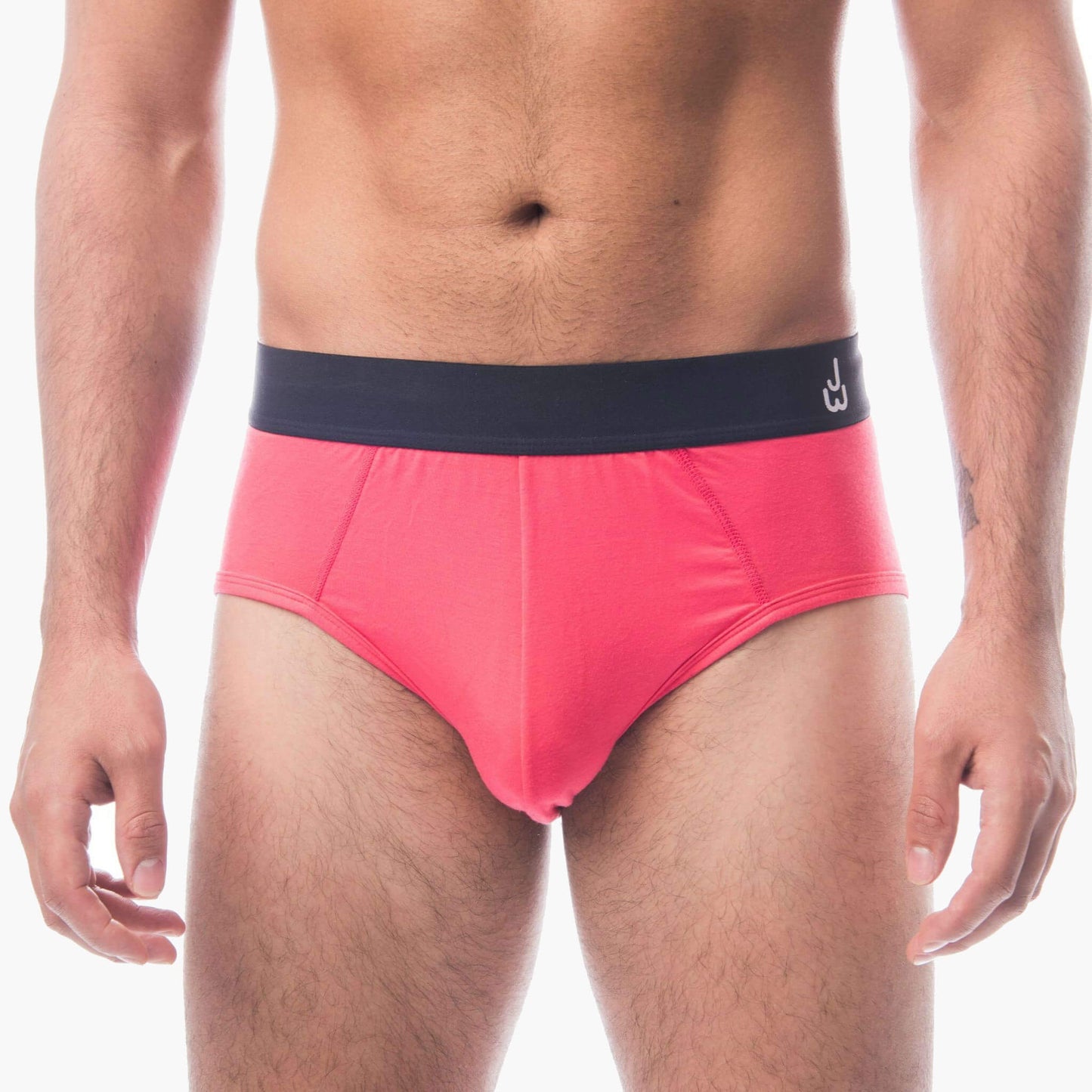 Briefs (color - Modern Collection)